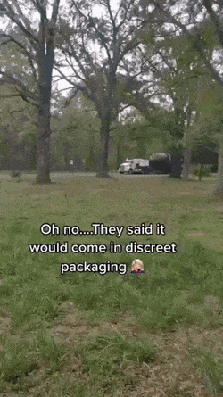 dirty minds only 42 gifs 2.html - 1 HD GIF | Premium Gallery 2023