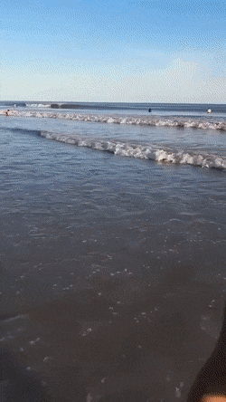 dirty minds only 42 gifs 2.html - 1 HD GIF | Premium Gallery 2023