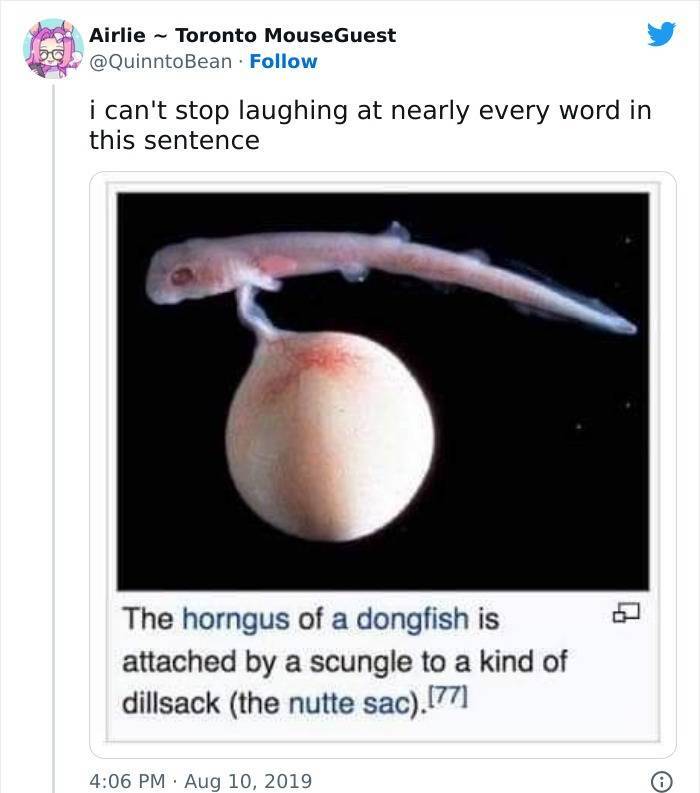 They Knew Exactly What They Were Doing