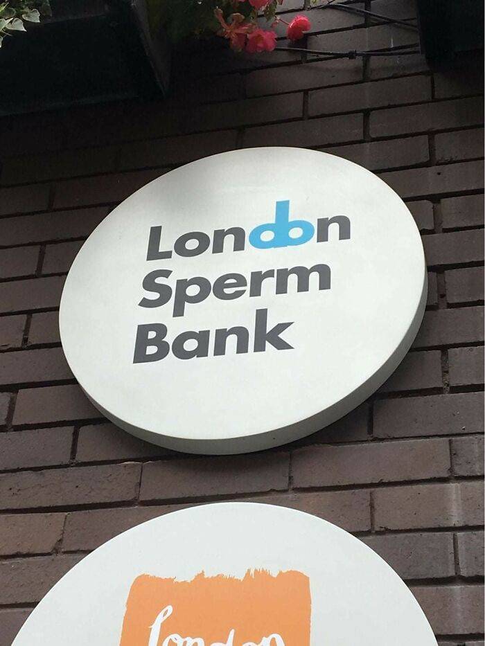 They Knew Exactly What They Were Doing