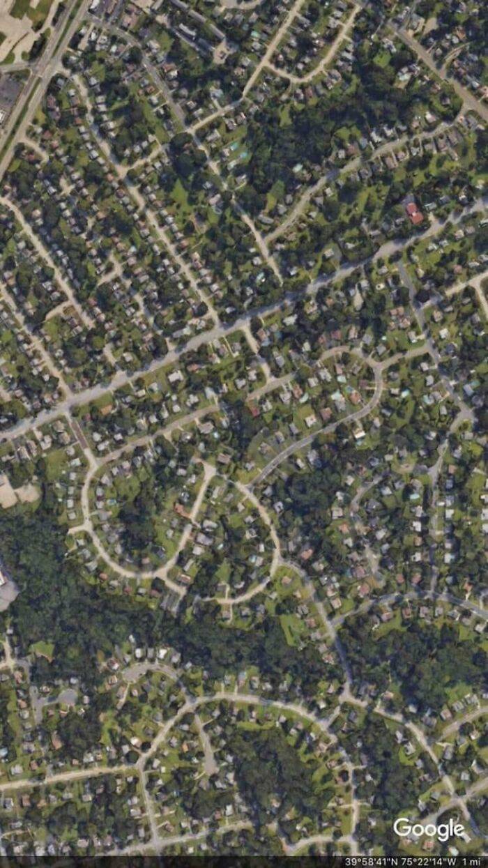 they knew exactly what they were doing 44 pics 4.html - 44 HD Photos | Premium Gallery 2023