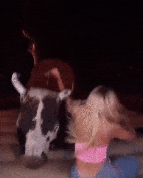 girls having some fun 46 gifs 5.html - 1 HD GIF | Premium Gallery 2023