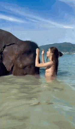 dirty minds only 42 gifs 5.html - 1 HD GIF | Premium Gallery 2023