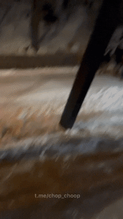 dirty minds only 42 gifs 5.html - 1 HD GIF | Premium Gallery 2023