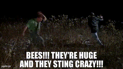 The Most NSFW Things Spotted In Public