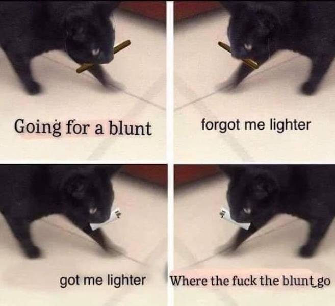 These Stoner Memes Are Already High…