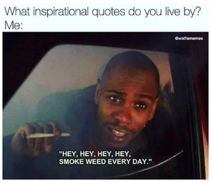 these stoner memes are already high 58 pics 20.html - 58 HD Photos | Premium Gallery 2023