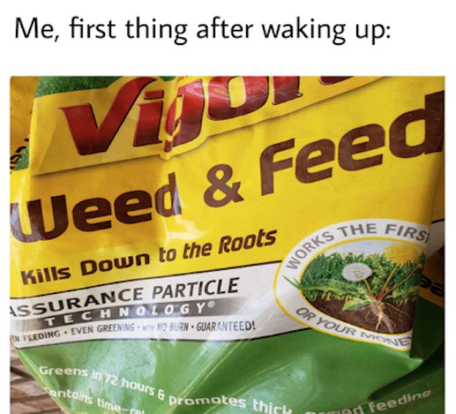 these stoner memes are already high 58 pics 20.html - 58 HD Photos | Premium Gallery 2023
