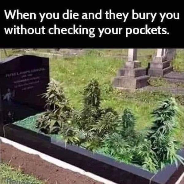 these stoner memes are already high 58 pics 20.html - 58 HD Photos | Premium Gallery 2023