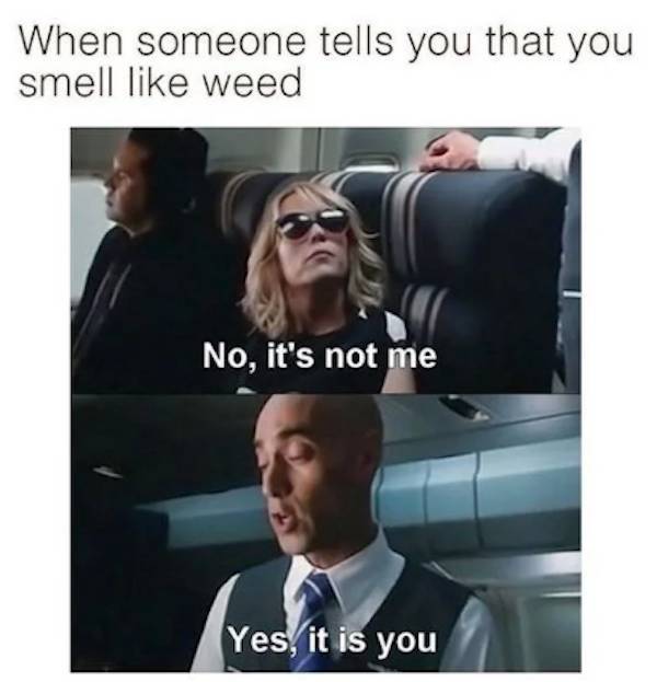 these stoner memes are already high 58 pics 20.html - 58 HD Photos | Premium Gallery 2023