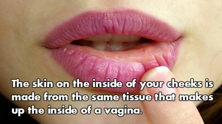 Fascinating NSFW Facts