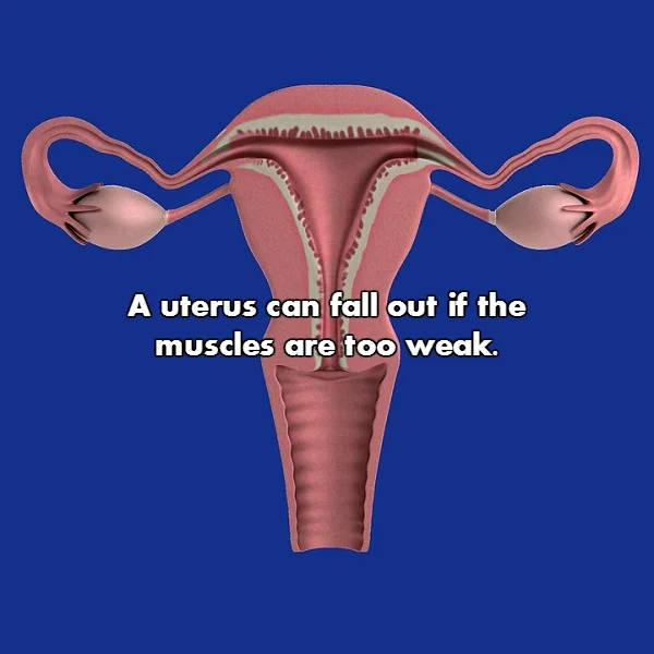 Fascinating NSFW Facts