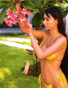 hot girls are here for you 42 gifs 2.html - 1 HD GIF | Premium Gallery 2023