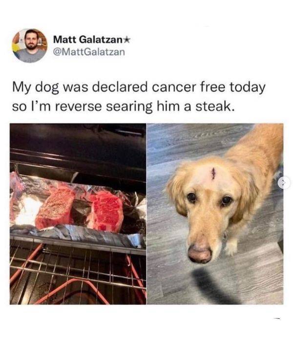 the ultimate collection of memes for real men 32 pics 29.html - 32 HD Photos | Premium Gallery 2023