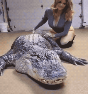 fit girls showing off their skills 24 gifs 6.html - 1 HD GIF | Premium Gallery 2023