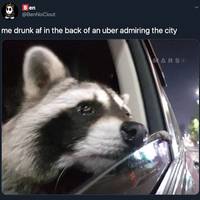 how do you like the public toilet video.html - 1 HD Video | Premium Gallery 2023