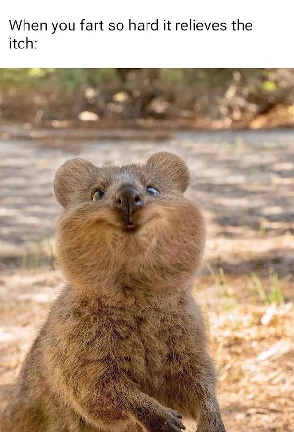 dirty minds assemble 65 pics 19.html - 65 HD Photos | Premium Gallery 2023