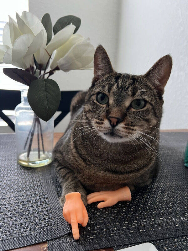 dirty minds assemble 65 pics 19.html - 65 HD Photos | Premium Gallery 2023