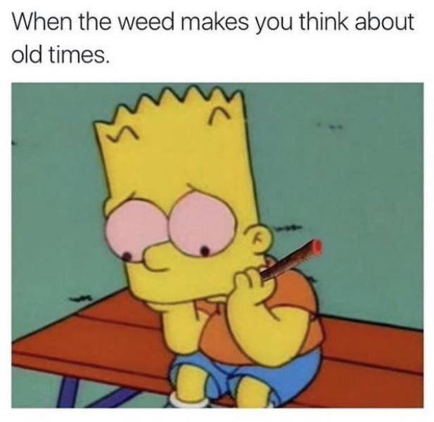 these stoner memes are already high 58 pics 3.html - 58 HD Photos | Premium Gallery 2023