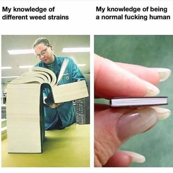 these stoner memes are already high 58 pics 3.html - 58 HD Photos | Premium Gallery 2023