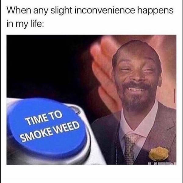 these stoner memes are already high 58 pics 3.html - 58 HD Photos | Premium Gallery 2023