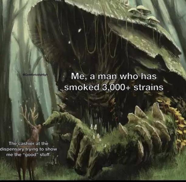 these stoner memes are already high 58 pics 3.html - 58 HD Photos | Premium Gallery 2023