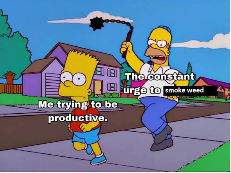 these stoner memes are already high 58 pics 3.html - 58 HD Photos | Premium Gallery 2023