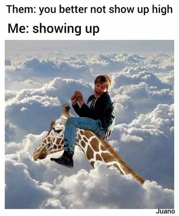 these stoner memes are already high 58 pics 3.html - 58 HD Photos | Premium Gallery 2023