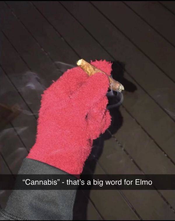 these stoner memes are already high 58 pics 3.html - 58 HD Photos | Premium Gallery 2023