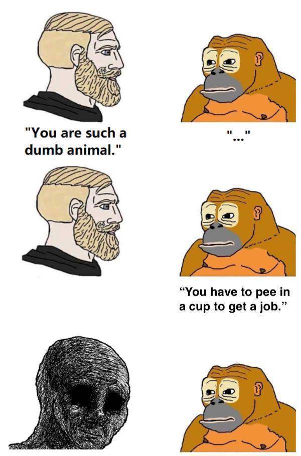 these stoner memes are already high 58 pics 3.html - 58 HD Photos | Premium Gallery 2023