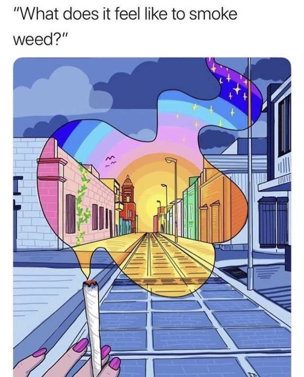 these stoner memes are already high 58 pics 3.html - 58 HD Photos | Premium Gallery 2023