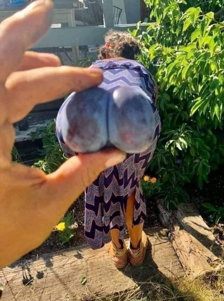 dirty mind come here 50 pics 1.html - 50 HD Photos | Premium Gallery 2023