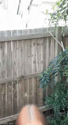 hot girls are here for you 42 gifs 5.html - 1 HD GIF | Premium Gallery 2023