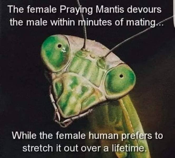 dirty minds assemble 67 pics 31.html - 67 HD Photos | Premium Gallery 2023