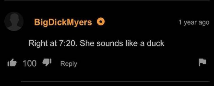PornHub’s Comments Are Always Wild!