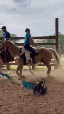 ooh thats dirty 54 pics 1 gif 26.html - 54 HD GIF | Premium Gallery 2023