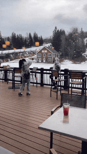 influencers caught in the act hilarious moments on display 16 gifs 2.html - 1 HD GIF | Premium Gallery 2023