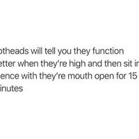 nice kitty video.html - 1 HD Video | Premium Gallery 2023