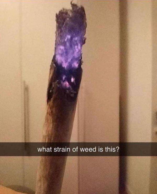 These Memes Are Already Stoned
