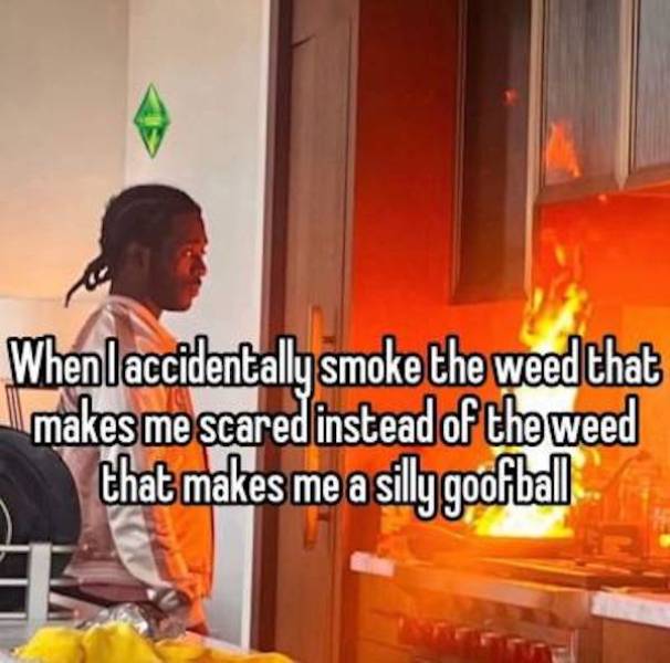 These Stoner Memes Are Already High…
