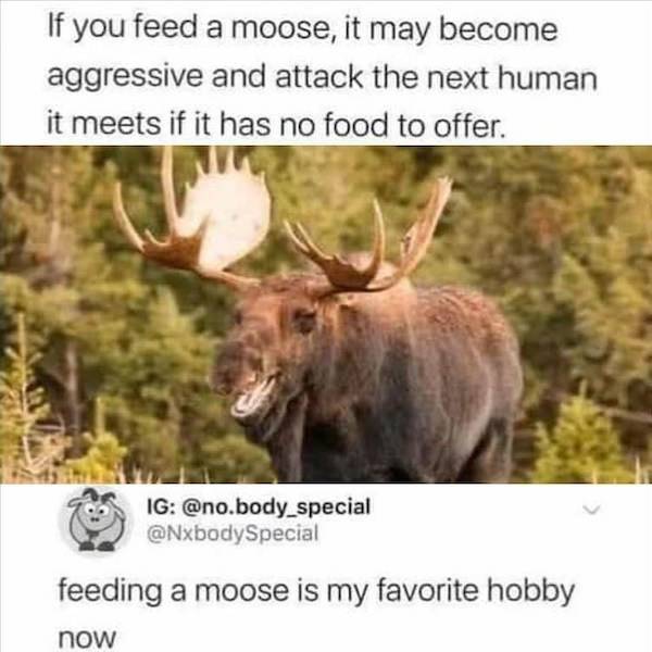 ooh thats dirty 61 pics 31.html - 61 HD Photos | Premium Gallery 2023