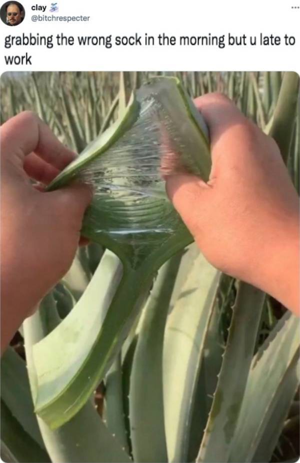 Ooh, That’s Dirty!