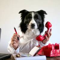 cyberjapan dancers are the real asian beauties 38 pics.html - 38 HD Photos | Premium Gallery 2018