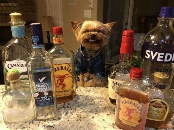 cheers to everyone 44 pics 3 gifs 12.html - 44 HD GIF | Premium Gallery 2023