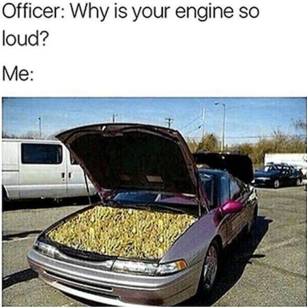 These Memes Are Already Stoned
