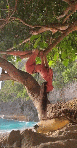 hot girls are here for you 42 gifs 6.html - 1 HD GIF | Premium Gallery 2023