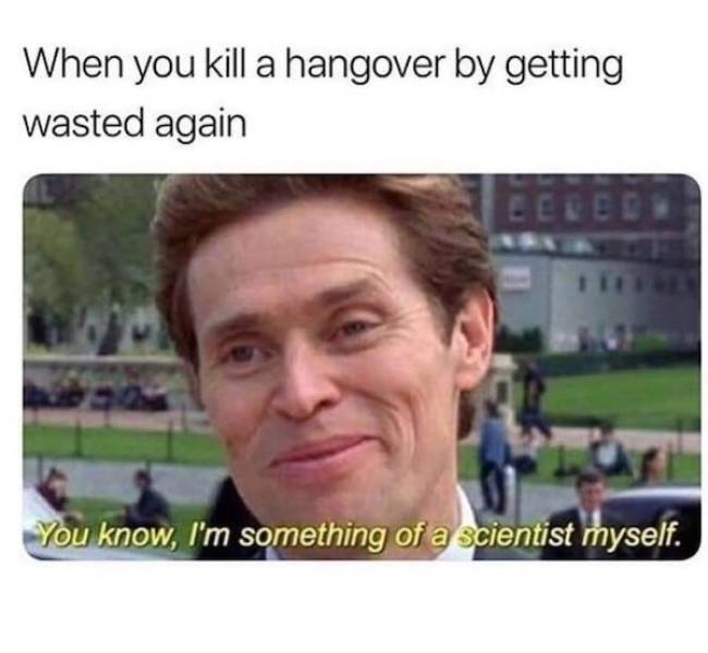 cheers everyone 36 pics 2 gifs 2.html - 36 HD GIF | Premium Gallery 2023