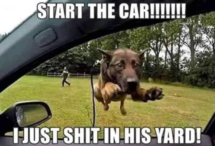 ooh thats dirty 64 pics 1 gif 28.html - 64 HD GIF | Premium Gallery 2023