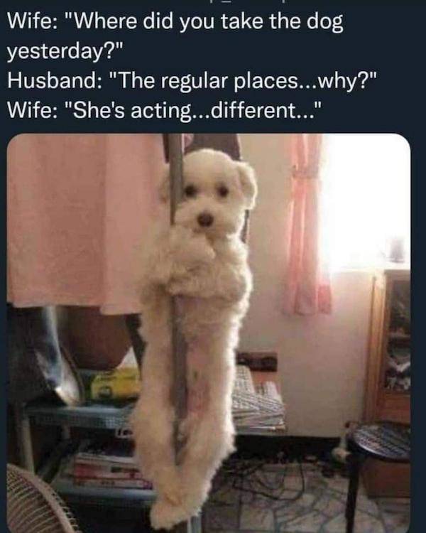 Ooh, That’s Dirty!