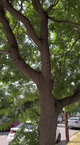 who wants a drink 42 pics 4 gifs 7.html - 42 HD GIF | Premium Gallery 2023